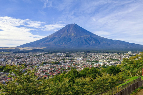 Mt. Fuji & Hakone Tour: Arakurayama, OshinoHakkai, Owakudani Tokyo Station | 7:30 AM Departure with English Guide