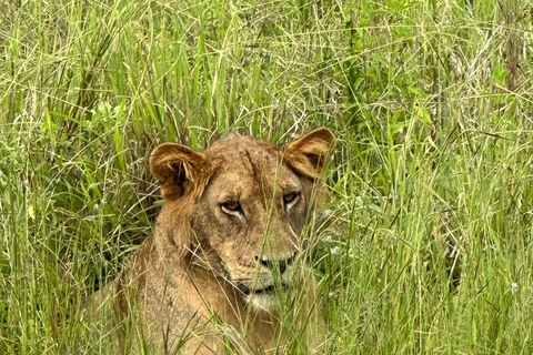 SAFARI WILDLIFE FROM ZANZIBAR TO MIKUMI 3 DAYS 2 NIGTHS