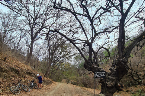 Oaxaca: Bike Tour with Visit to Monkey Tree & Bread Maker