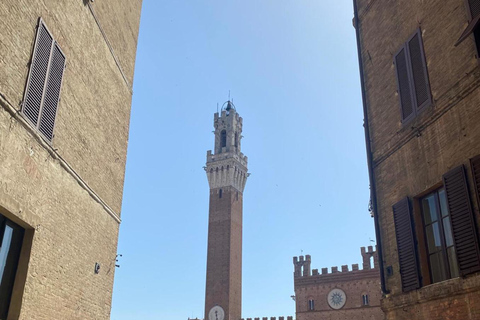 Florence: Dagtrip met vrije tijd in San Gimignano en Siena