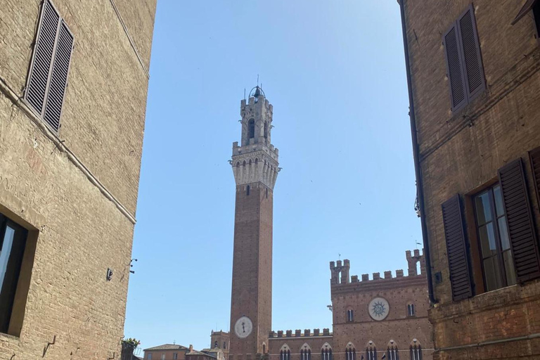 Florens: Dagsutflykt med fritid i San Gimignano och Siena