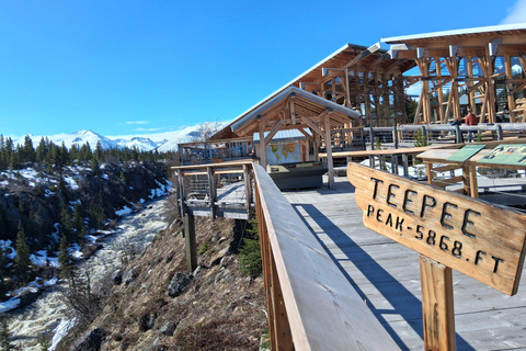 Skagway: Yukon Suspension Bridge & White Pass Scenic Tour