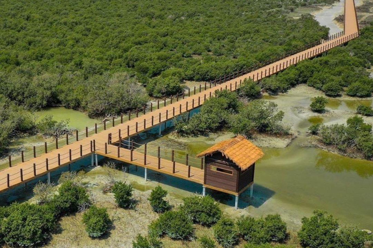 Ganztagestour Katar Nord und West | Geschichte und Erbe