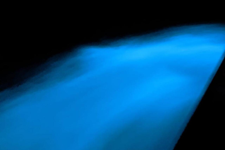 Bioluminescence Night Snorkeling Tour From Pochote Beach