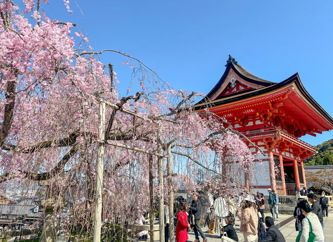 Kyoto: Heldagstur med de bedste UNESCO- og historiske steder