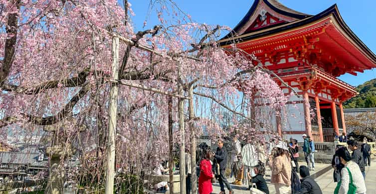 Kyoto: Fushimi Inari, Kinkakuji, Bamboo Grove 1 Day Bus Tour photo 2
