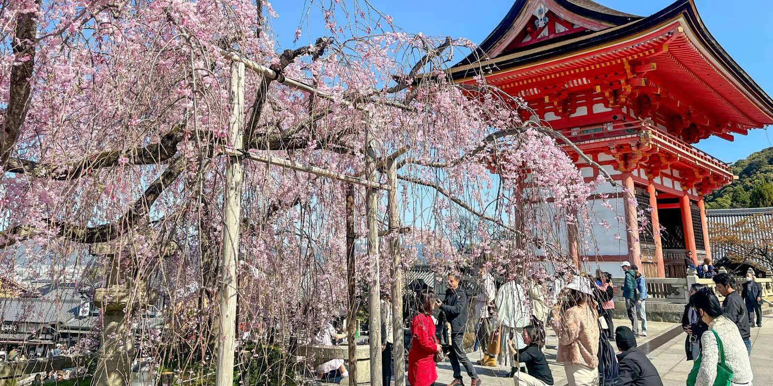 Kyoto experience — temples, geisha, bamboo grove — image 1