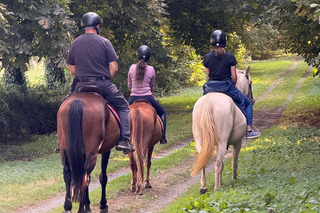 Binic Etables-sur-Mer: Horseback riding tour in Brittany