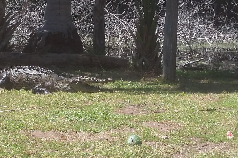 Punta Cometa: Cocodrilos e Mazunte