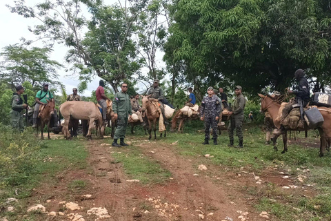 Punta Cana: Los Haitises Park, Horseback Ride & Lunch Tour