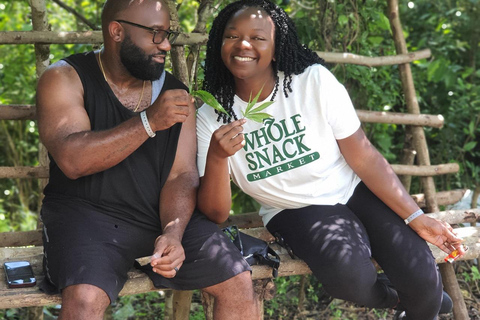 Best In The West Herbal & Farming Tour In Westoreland