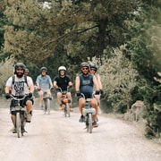 Carcassonne: Solex-Tour mit Guide und Weinverkostung