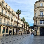 Montpellier: Private custom tour with a local guide