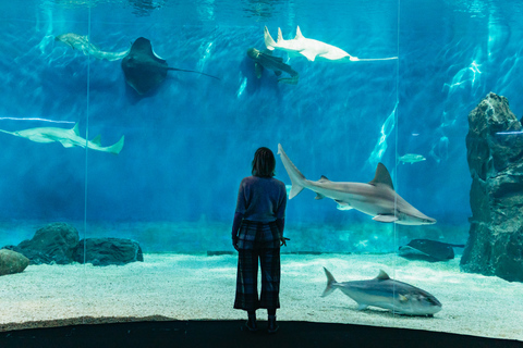 Genoa: Aquarium of Genoa with Lunch