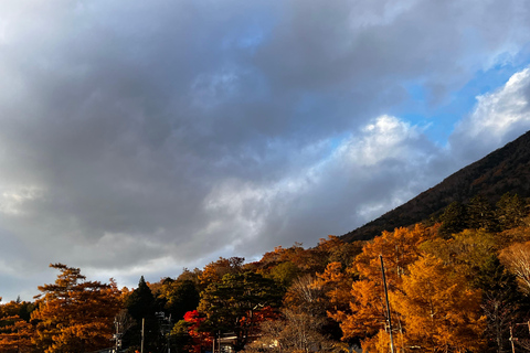 Nikko : visite guidée privée en voiture avec guide anglais