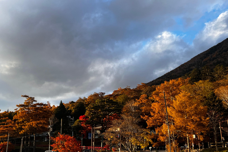 Nikko : visite guidée privée en voiture avec guide anglais