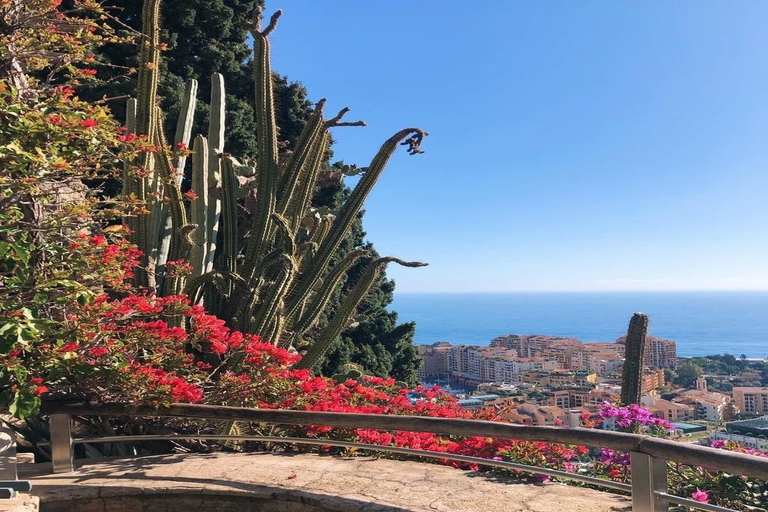 Monaco, Monte-Carlo & Eze Village Private Half-Day Tour LICENSED GUIDE + MERCEDES V