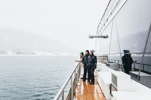 Tromsø: Arktische Fjord-Bootsfahrt mit Elektro-Katamaran