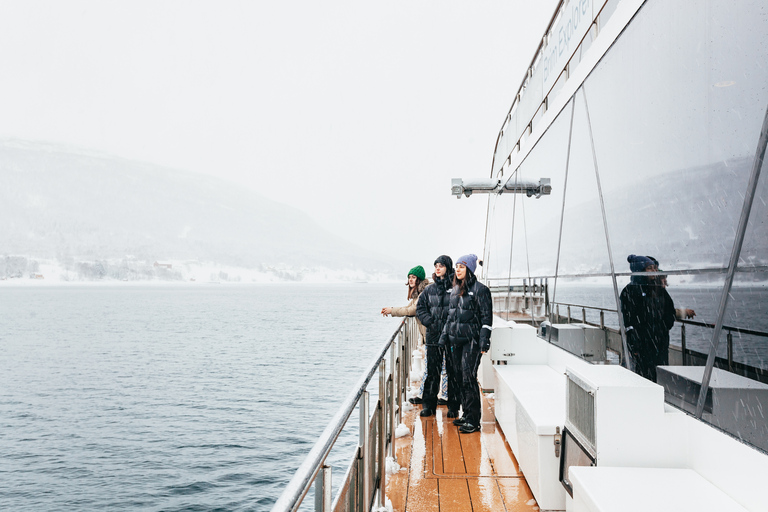 Tromsø: boottocht in fjord met hybride-elektrische catamaranTromsø: boottocht in fjord met elektrische catamaran