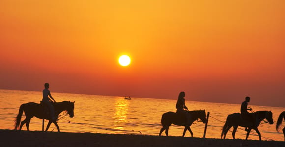 Djerba : 2 hours Horse Riding in the blue Lagoon.