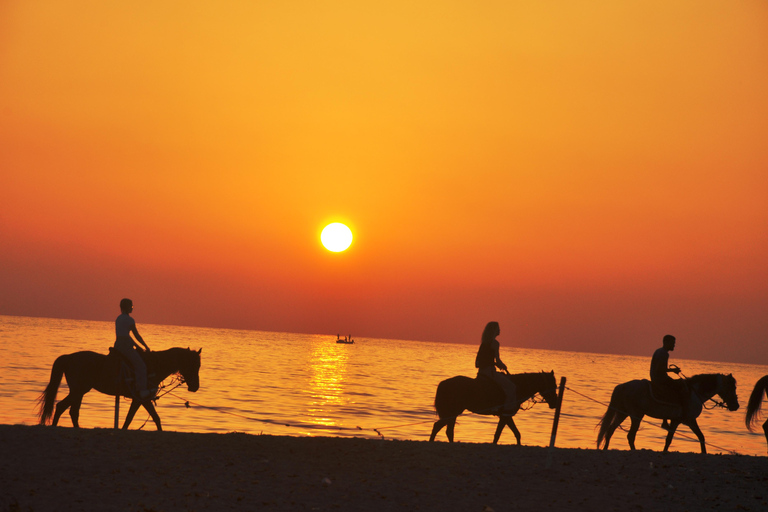 DJERBA : Paseo a caballo privado (2h).