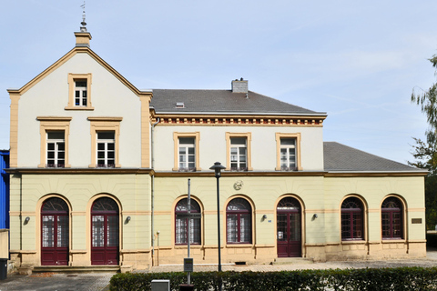 De Paris: Passeio de um dia pela cidade de Luxemburgo com guia particular