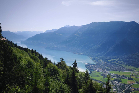 From Zurich: Interlaken, Lauterbrunnen & Grindelwald