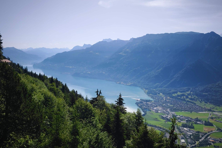 From Zurich: Interlaken, Lauterbrunnen & Grindelwald