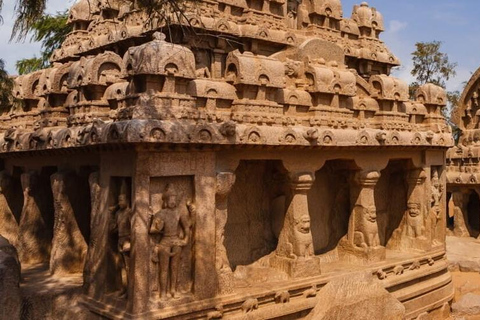 From Chennai: 12-Day Private Tour to Cochin with 3-Star Stay Chennai to Cochin 12 Days Private Tour with 3* Hotels