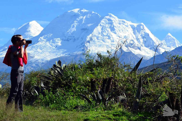 Huaraz ||3 Days Mountains and lagoons || Entrances and Lunch