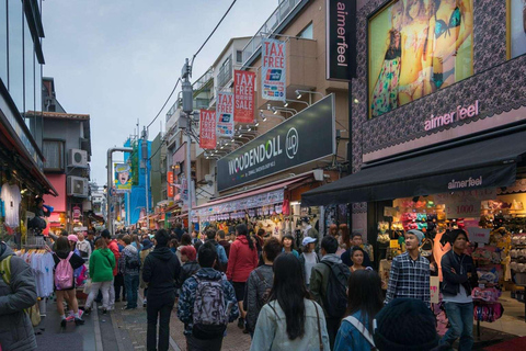 Tokyo: Private Customizable Tour with Driver-Guide