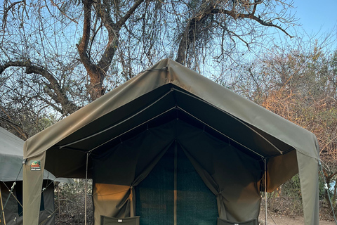 Au départ de Johannesburg : Safari de 2 jours dans le parc national Kruger (sous tente)