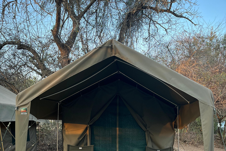 De Joanesburgo: Safari de 2 dias no Parque Nacional Kruger em tendas