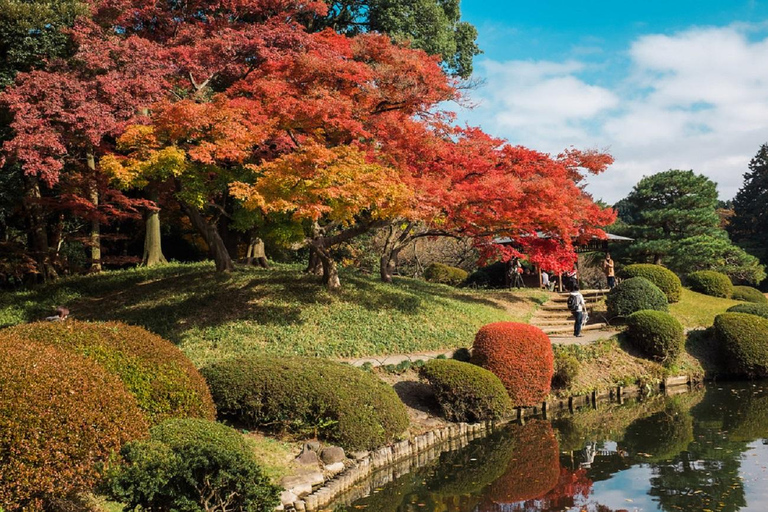 Tokyo: Shinjuku Gyoen National Garden Guided Walking Tour Small Group Tour