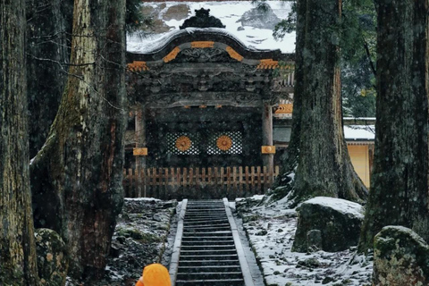 4-Day Cultural Tour from Tokyo to Kanazawa & Fukui 4-Day from Tokyo to Kanazawa & Fukui（No tour guide）