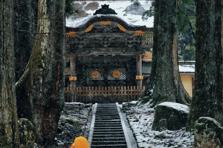 4-Day Cultural Tour from Tokyo to Kanazawa & Fukui 4-Day from Tokyo to Kanazawa & Fukui（No tour guide）