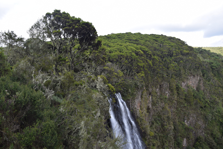 Discover Aberdare Park, Lake Naivasha & Hells Gate (3 days) Aberdare Park, Lake Naivasha & Hell's Gate (from Nairobi)