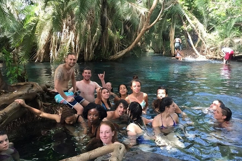 Moshi : Kikuletwa Hot Springs Dagtrip met Transfers