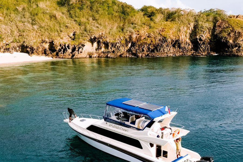From Labuan Bajo: Komodo Islands Full-Day Boat Trip