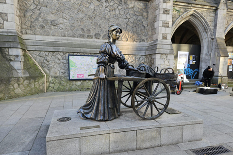 Dublin Landmarks Walking Tour Private Group Tour