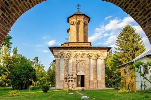 From Bucharest : Dracula's Tomb & Slanic Prahova Salt Mine Entrance Tickets included