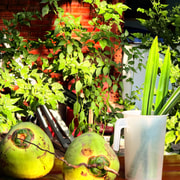 From Ho Chi Minh City: 2-Day Mekong Delta Tour with Homestay