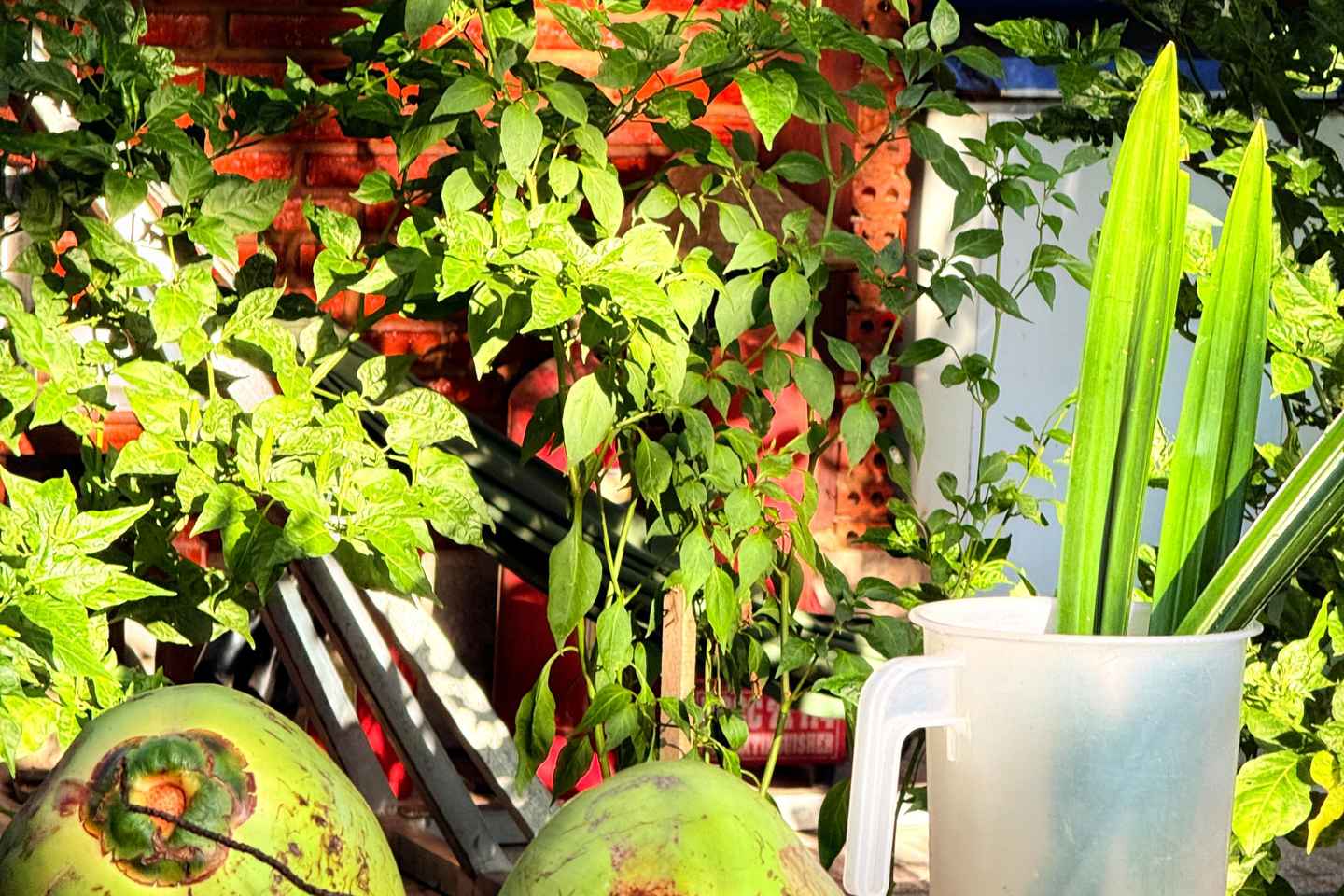 From Ho Chi Minh City: 2-Day Mekong Delta Tour with Homestay - From Ho Chi Minh City: 2-Day Mekong Delta Tour with Homestay