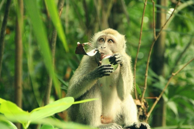 Excursão de 1 dia à Reserva da Biosfera dos Manguezais de Can Gio