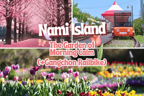 Seúl: Isla Nami y Jardín de la Calma Matutina (+Railbike)