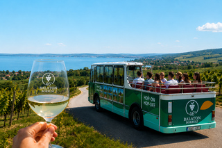 Balaton: All-day Hop-On Hop-Off Wine Tour