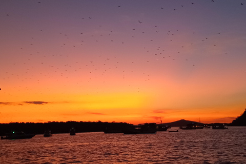 Delad dagsutflykt med snabbgående båt