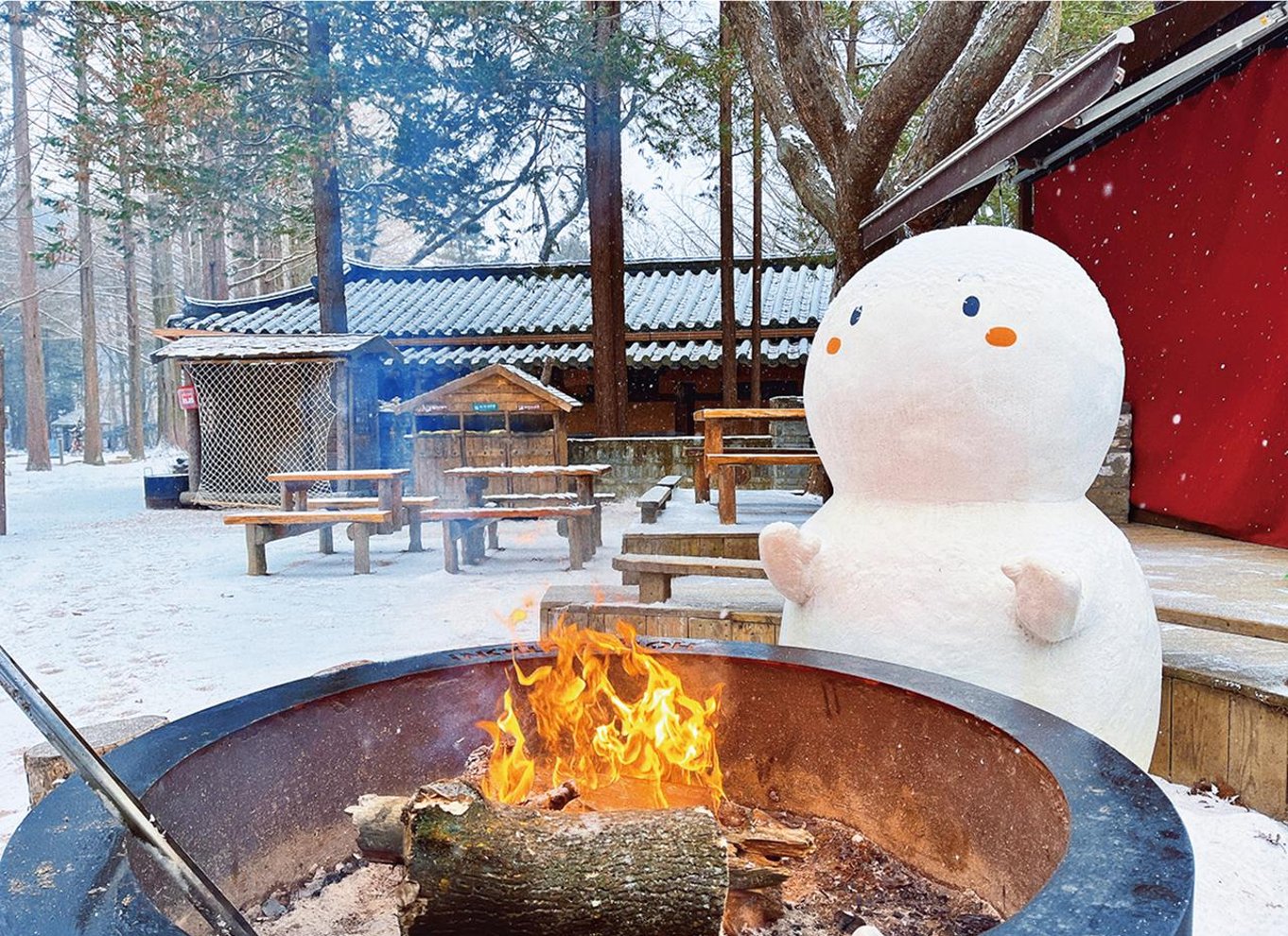Fra Seoul: Dagstur til Seoraksan Nationalpark og Nami Island