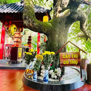 Hanoi: Private Tour Dia Tang Phi Lai, Hoa Lu, Trang An