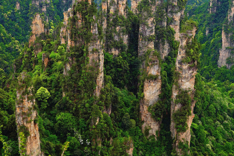 Zhangjiajie: Avatar Forest Park Group Tour or Ticket Big Group Tour with English Guide & Entry Ticket (11-16 ppl)